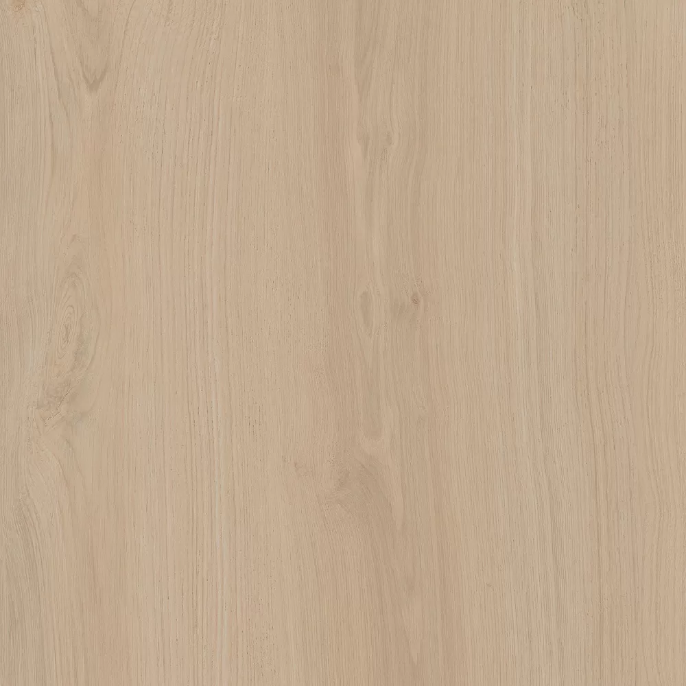 Альберони бежевый светлый матовый обрезной 60x60 SG643420R