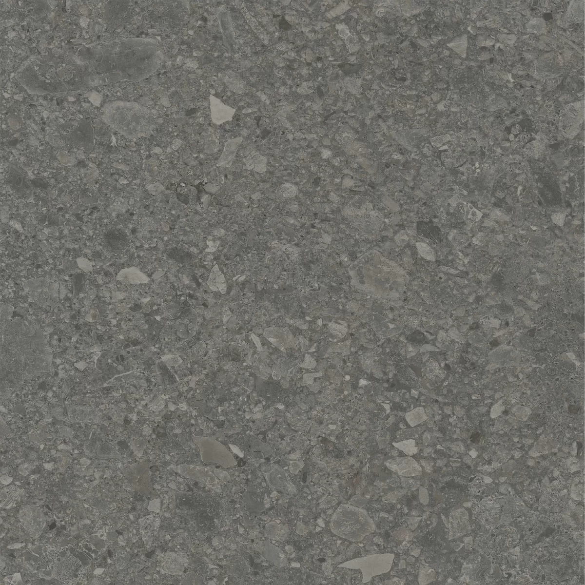 Чеппо ди Гре антрацит матовый обрезной 60x60 DD606220R