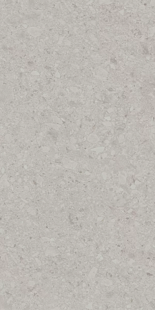 Чеппо ди Гре серый светлый матовый обрезной 60x119,5 DD507620R